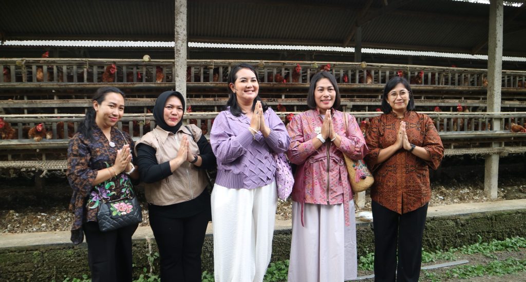Peternakan Ayam Bali (BIOS CARE)