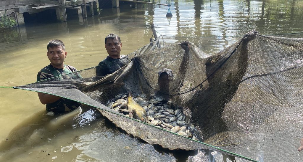 Tambak Ikan Tapanuli